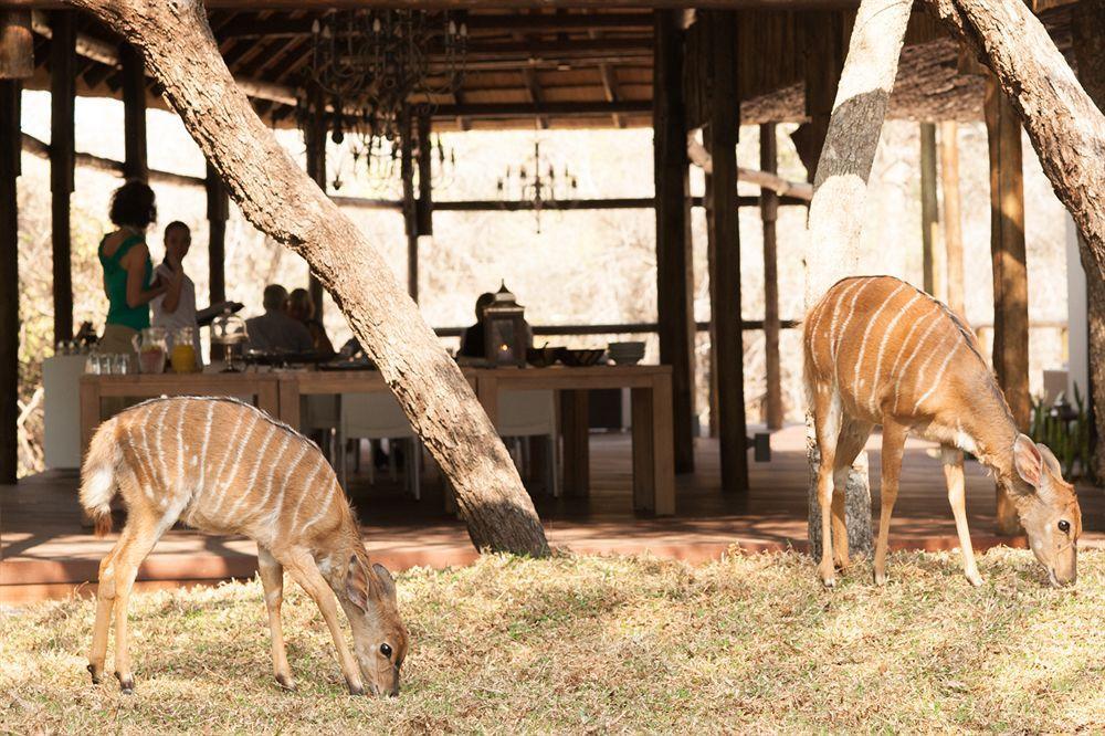 Moditlo River Lodge Hoedspruit Luaran gambar
