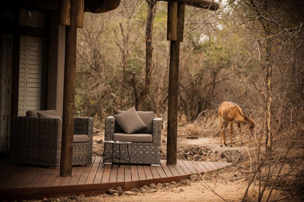 Moditlo River Lodge Hoedspruit Luaran gambar