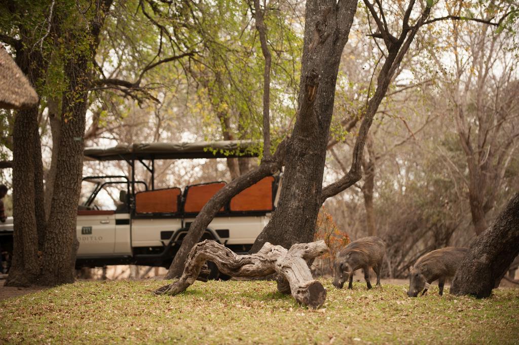 Moditlo River Lodge Hoedspruit Luaran gambar