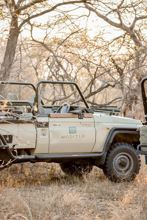 Moditlo River Lodge Hoedspruit Luaran gambar